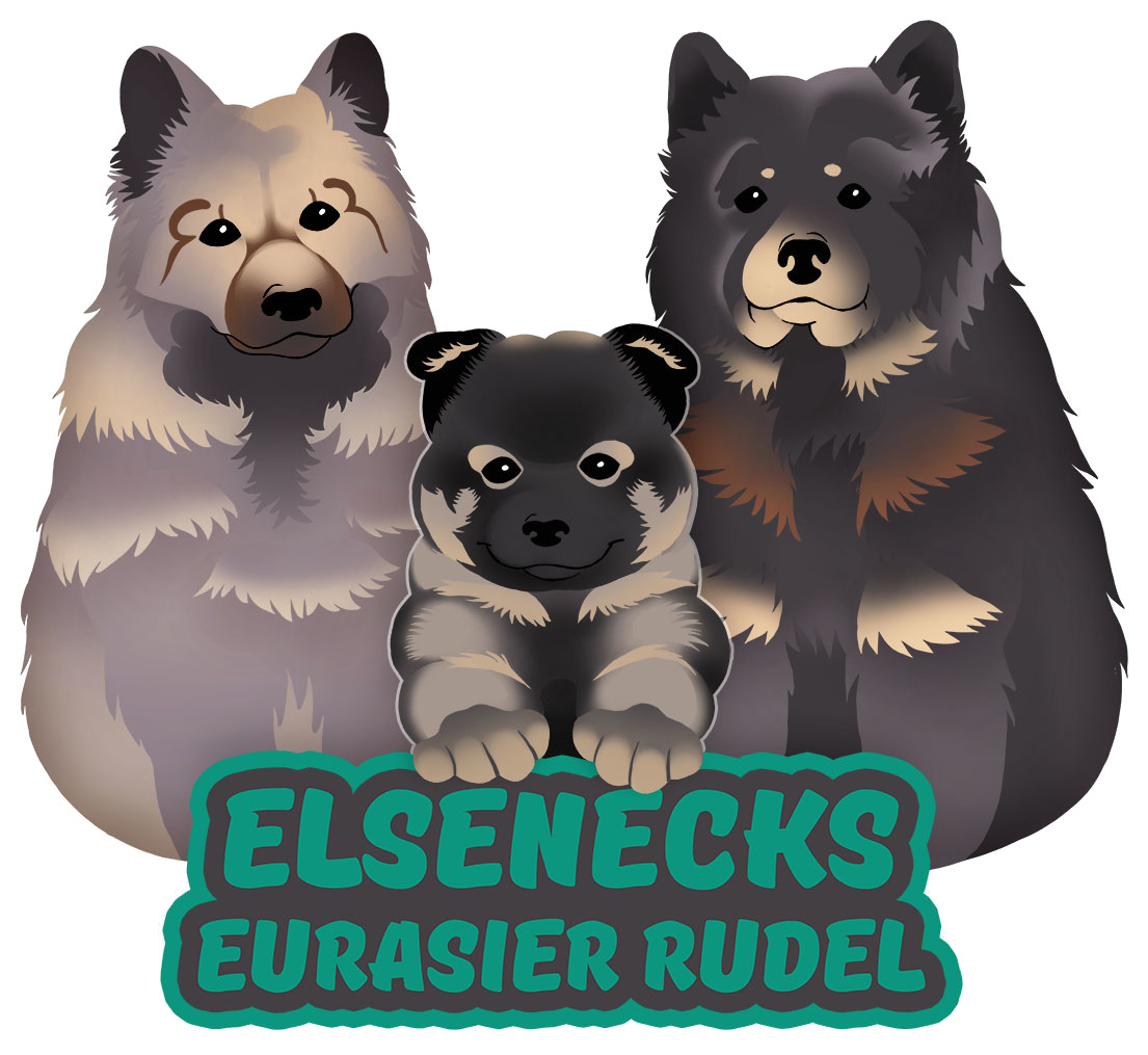 (c) Eurasier-vom-elseneck.de